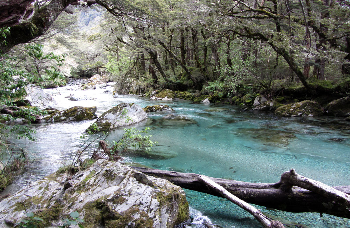 Routeburn on sale track tour